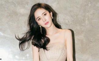 明星黑料女,明星黑料背后的真相与反思